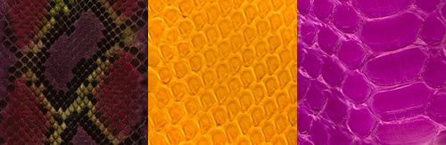 Day 5 Colors