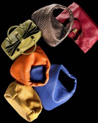 Bottega Veneta Colors