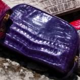 Cosmetic Case 