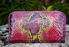 Exotic Clutch 