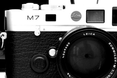 Shutterbags!
