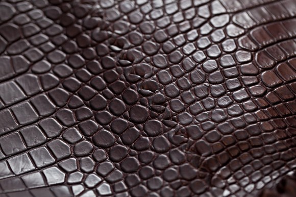 Bottega Veneta Truffle Soft Crocodile Hobo: Leather Detail
