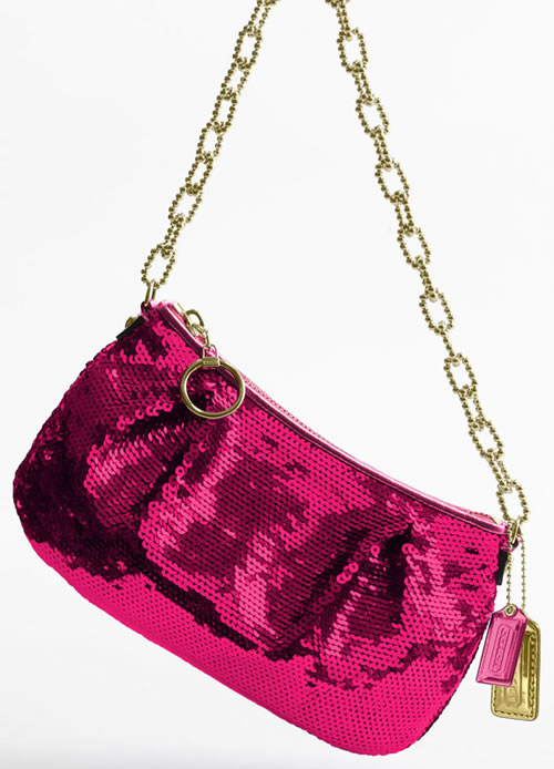 Coach Sequin Pouch