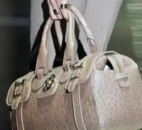 Gucci 5