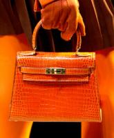 Hermes 13