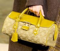 Louis Vuitton 14
