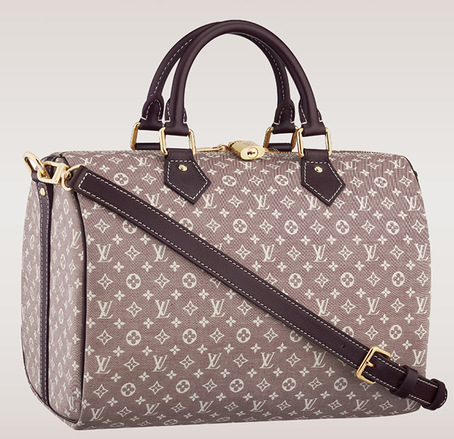 5 Reasons Everyone Should Own a Louis Vuitton Speedy Bag - PurseBlog