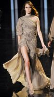 Elie Saab 14