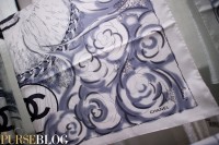 Current Chanel Bags and Accessories (7)