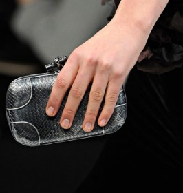 Bottega Veneta Fall 2012 Handbags (1)