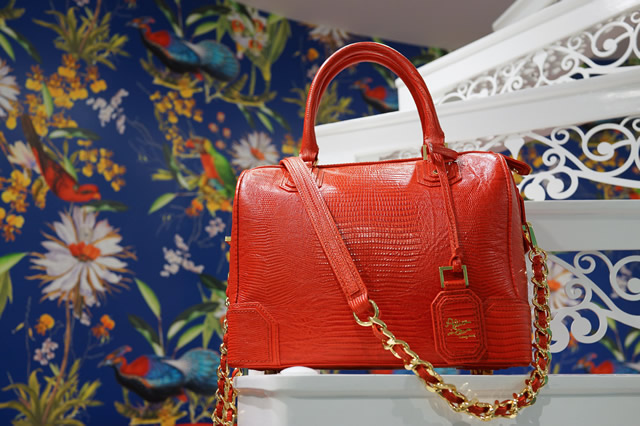 Alice and Olivia Spring 2013 Bags 6