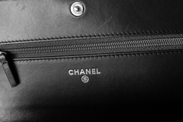 Chanel Bags for Fall 2013 (18)