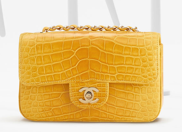 Chanel Spring 2013 Handbags (12)