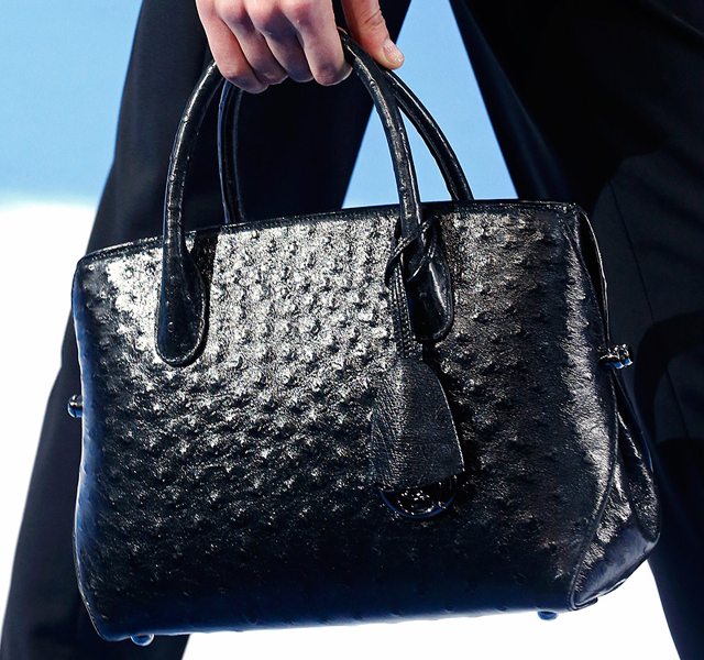 Christian Dior Fall 2013 Handbags (14)