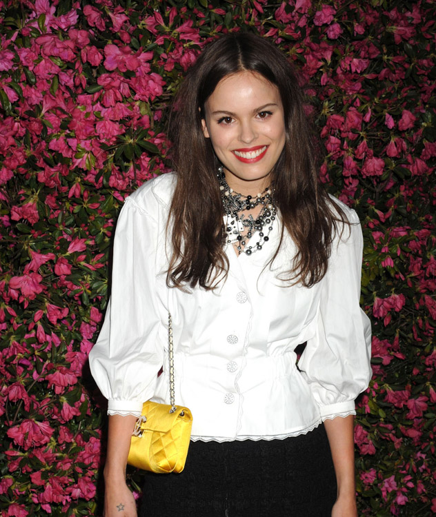 Celebrities carried Chanel bags at the brand's dinner celebrating the Tribeca Film Festival (5)