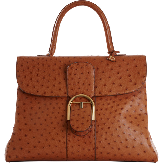 Delvaux Ostrich Brillant GM