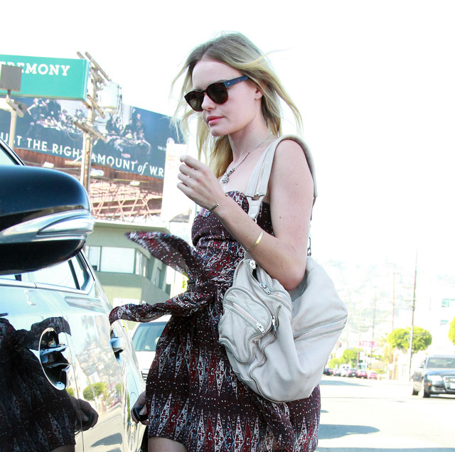 The Many Bags of Kate Bosworth (14)