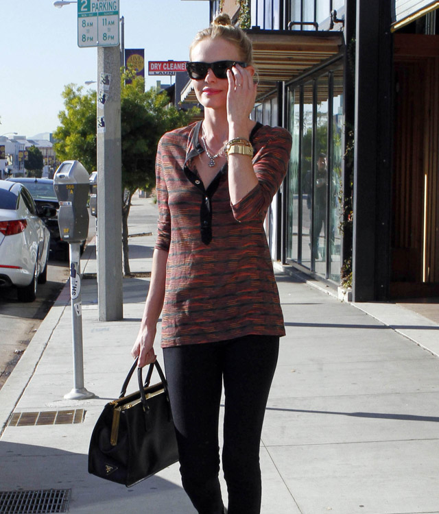 The Many Bags of Kate Bosworth (19)