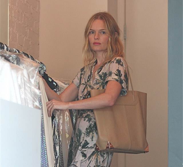 The Many Bags of Kate Bosworth (23)