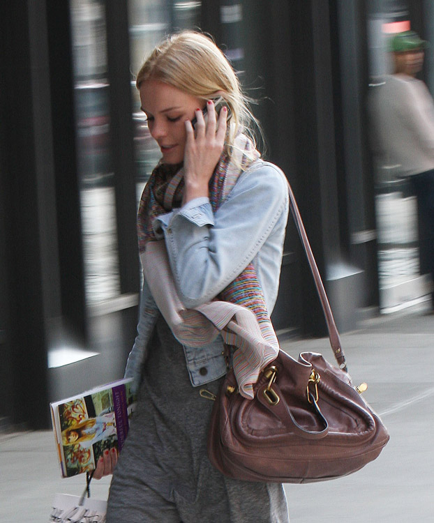 The Many Bags of Kate Bosworth (7)