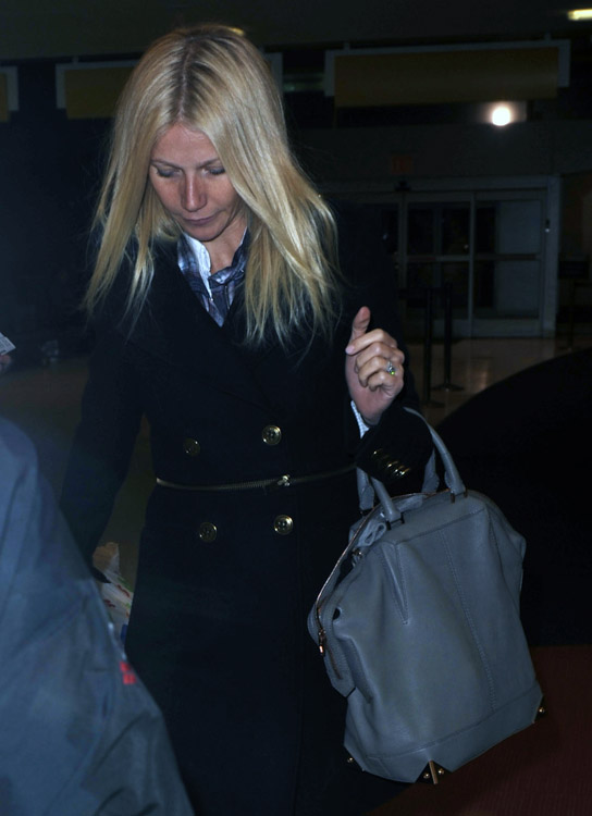 The Many Bags of Gwyneth Paltrow (4)