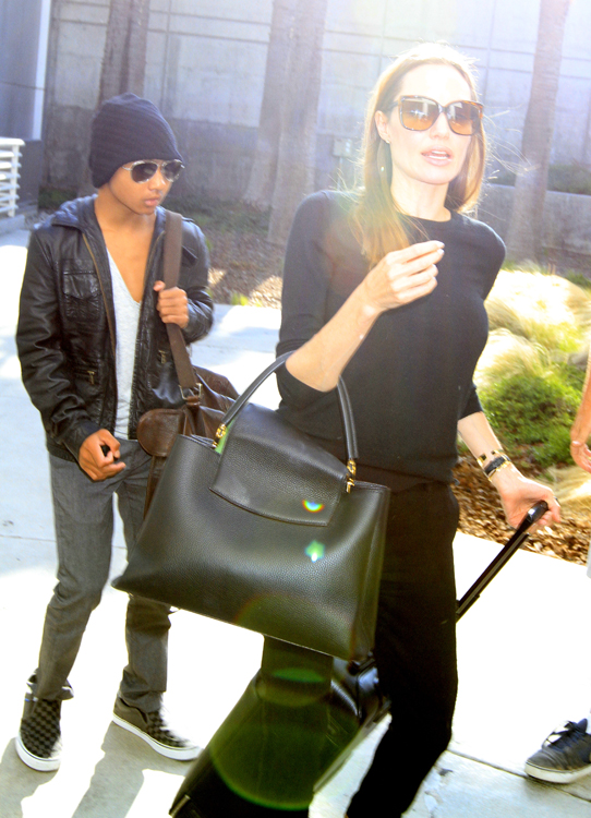 Angelina Jolie carries a Louis Vuitton Capucines Bag in LA (1)