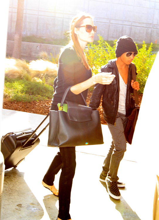 Angelina Jolie carries a Louis Vuitton Capucines Bag in LA (3)