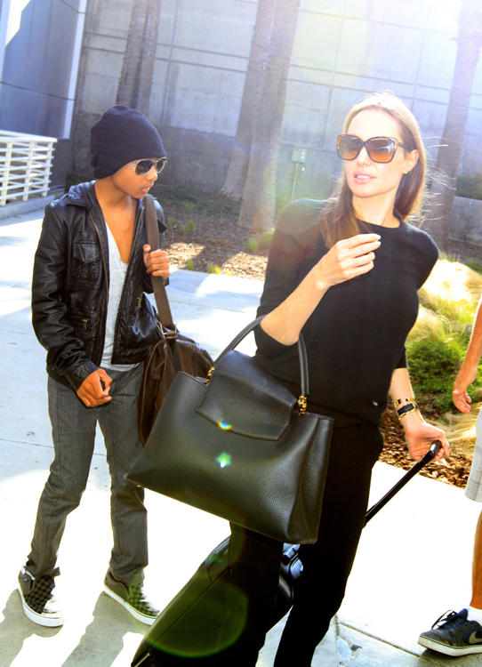Angelina Jolie carries a Louis Vuitton Capucines Bag in LA (4)