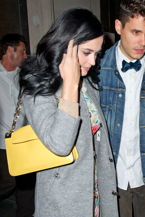 The Many Bags of Katy Perry (18)