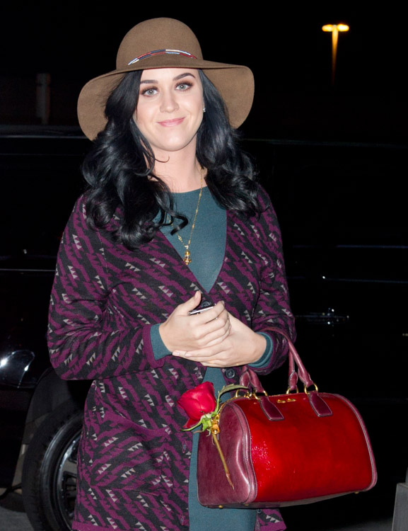 The Many Bags of Katy Perry (22)