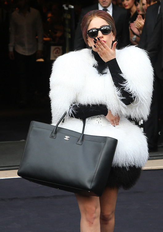 The Many Bags of Lady Gaga PurseBlog