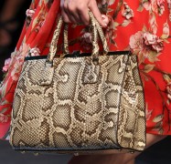 Dolce & Gabbana’s Spring 2014 Bags are Exactly What You’d Expect, but in a Good Way Dolce & Gabbana’s Spring 2014 Bags are Exactly What You’d Expect, but in a Good Way