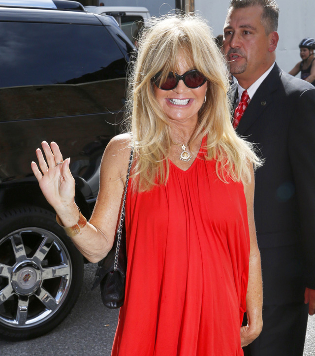 Celebrity arrivals at Donna Karan's New York Spring 2014 Fashion Week Show in NYC