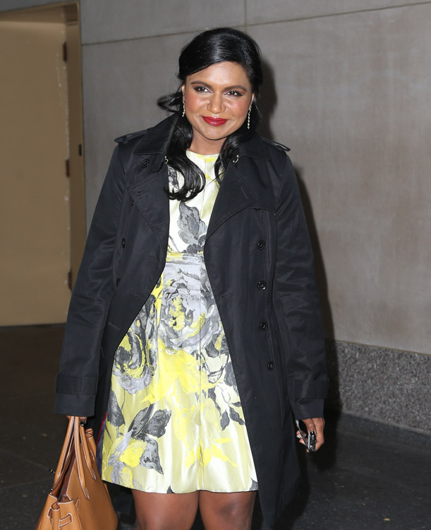 Mindy Kaling carries a tan Hermes Birkin in NYC (1)