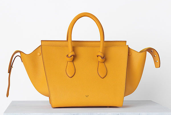 Celine Handbags Spring 2014 (15)