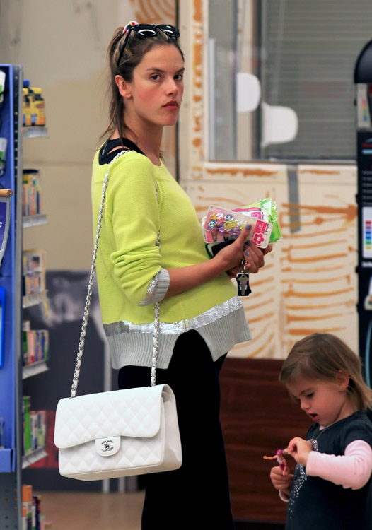 The Many Bags of Alessandra Ambrosio (10)