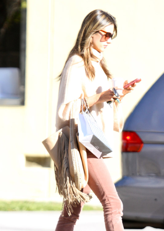 The Many Bags of Alessandra Ambrosio-17