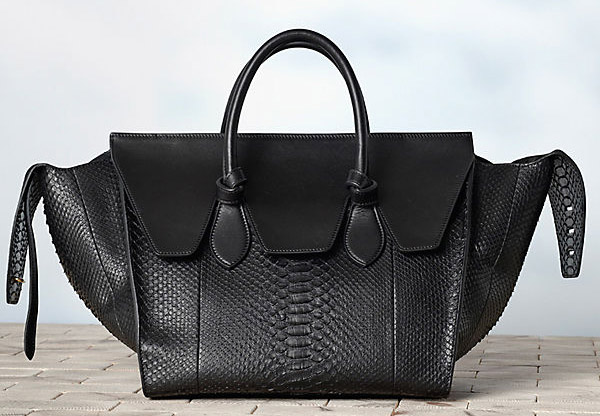 the most popular celine bags