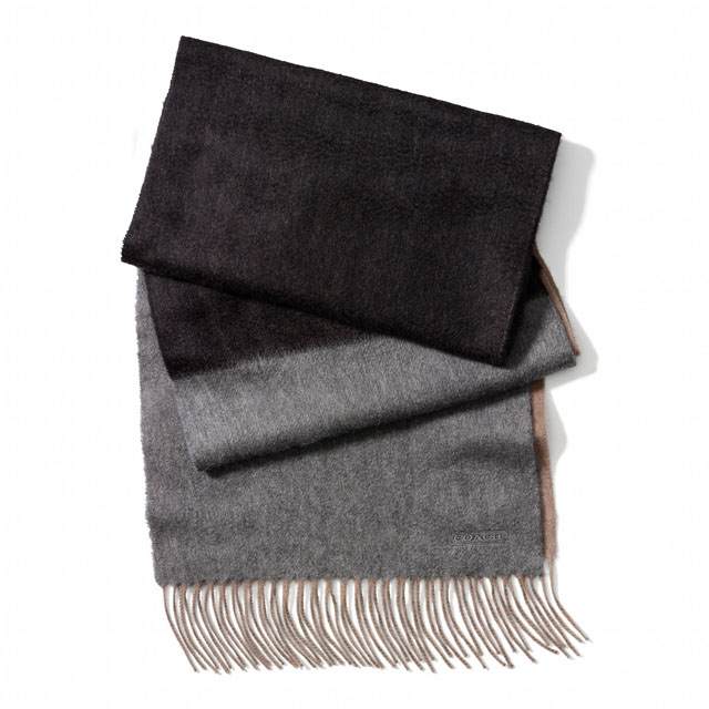 Coach Cashmere Colorblock Striped Scarf