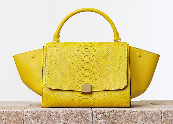 Celine Summer 2014 Bags 10