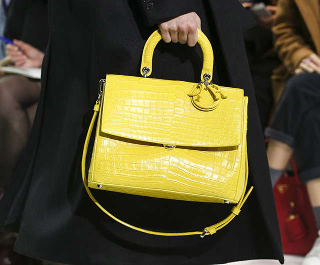 Dior Fall 2014 Handbags 3