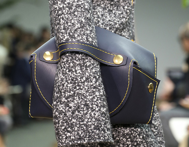 Celine Fall 2014 Handbags 5