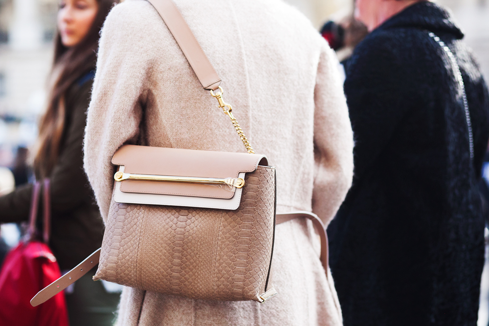 Paris Fashion Week Bags 9