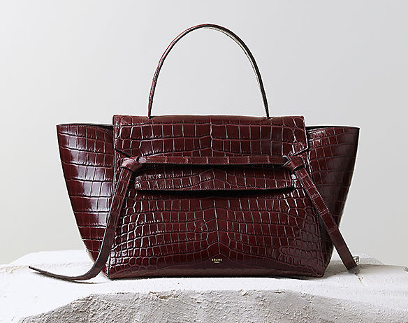 Celine Fall 2014 Handbags 16