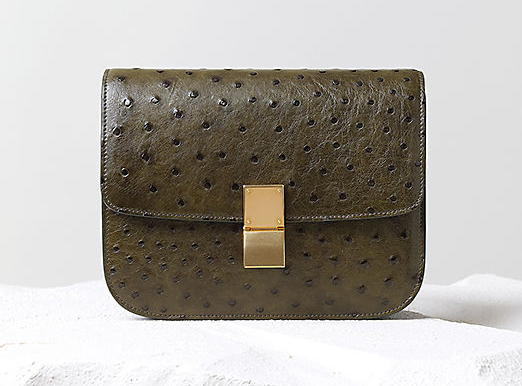 Celine Fall 2014 Handbags 20