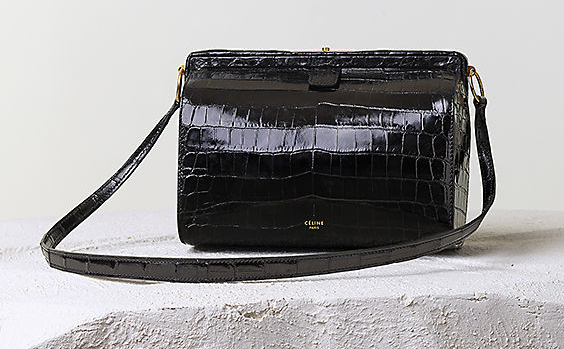 Celine Fall 2014 Handbags 34