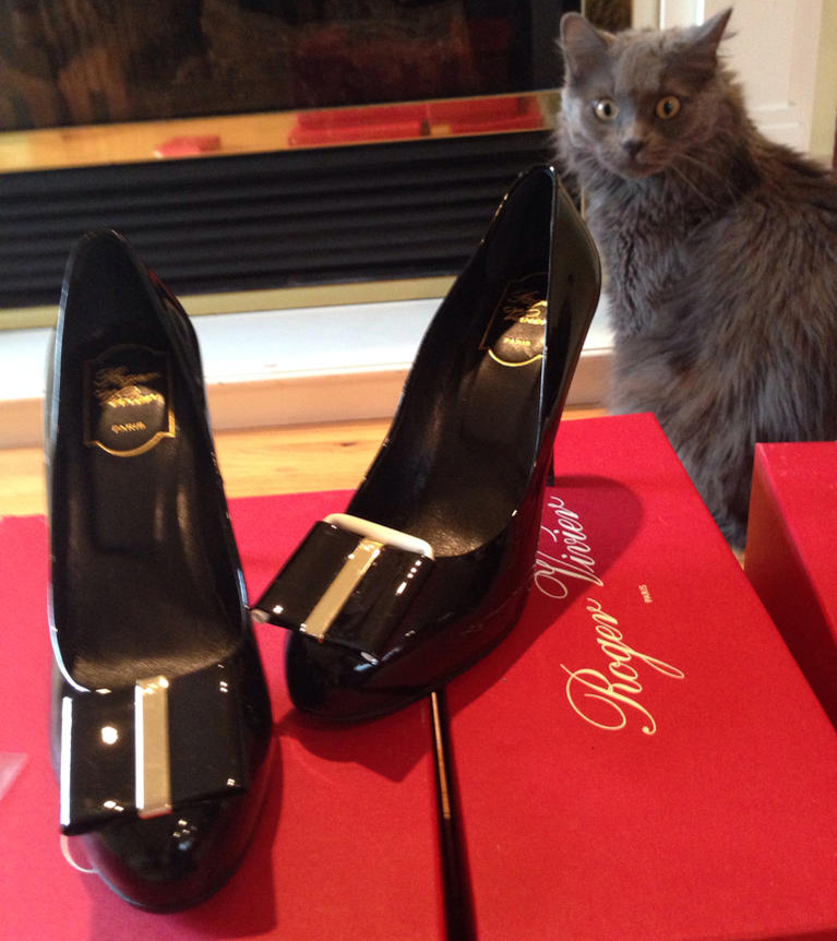 Roger Vivier Heels and Cat