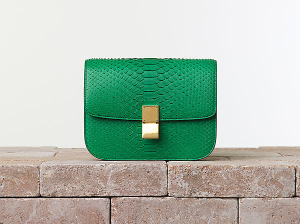 Celine Classic Box Bag in Python in Grass