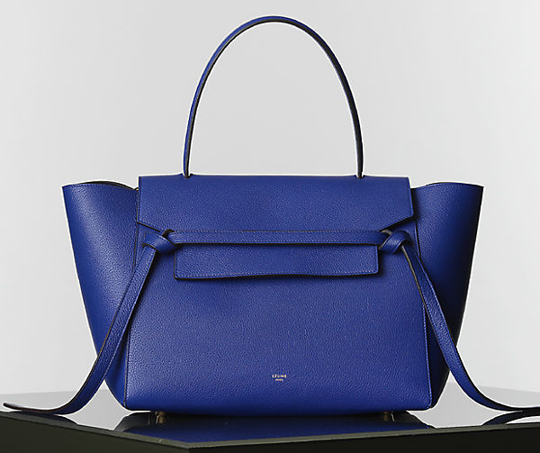 Celine Winter 2014 Handbags 15