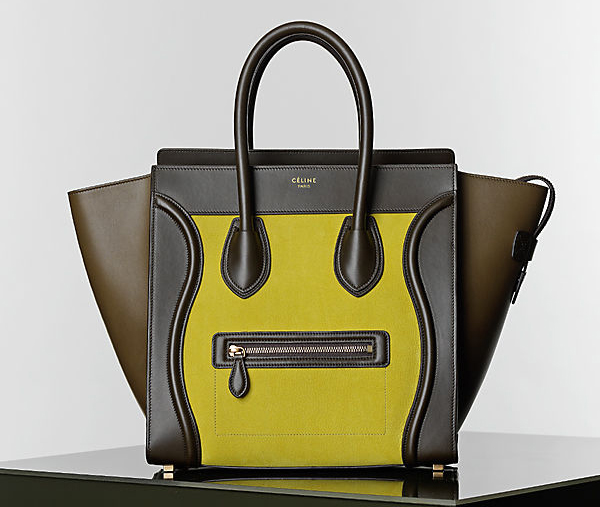 Celine Winter 2014 Handbags 17